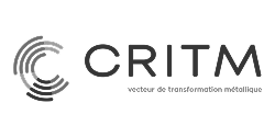 logo-CRITM