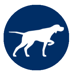Pointer